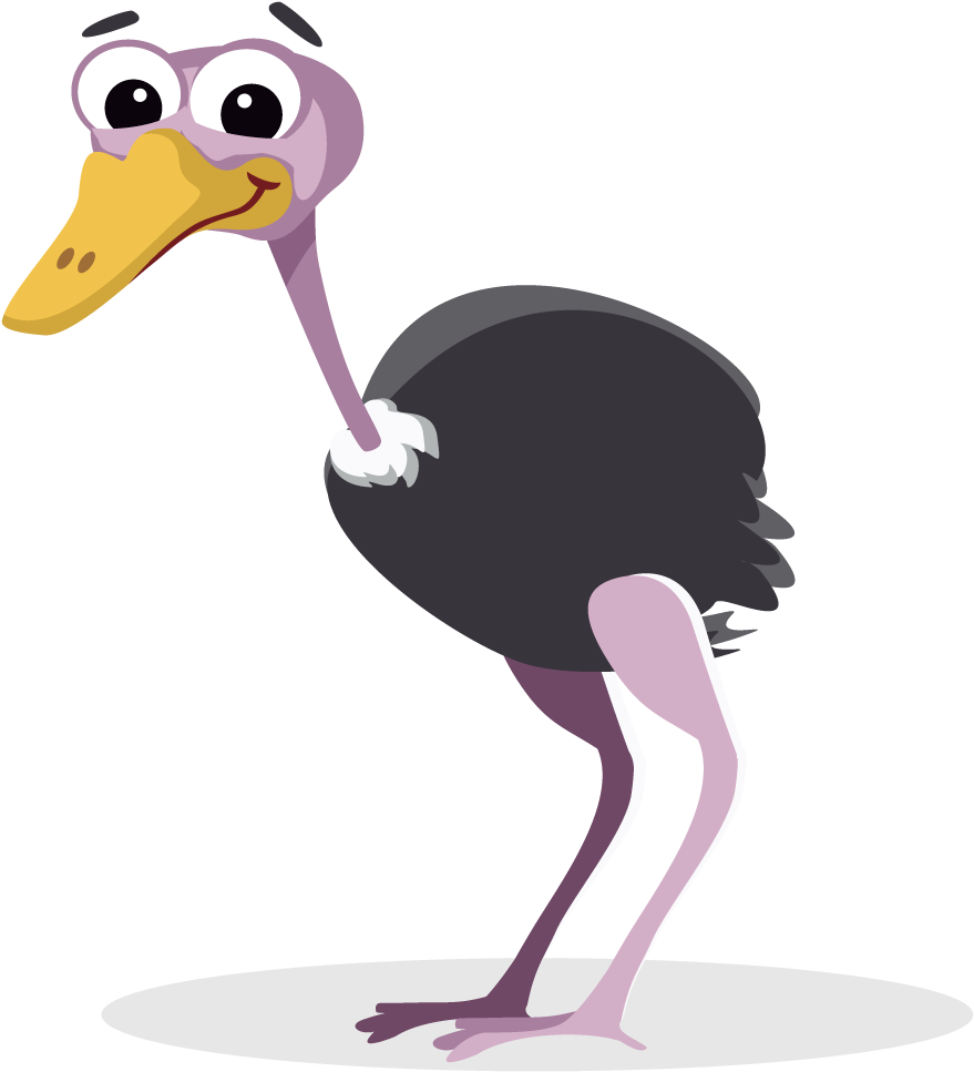Cartoon Ostrich Character PNG