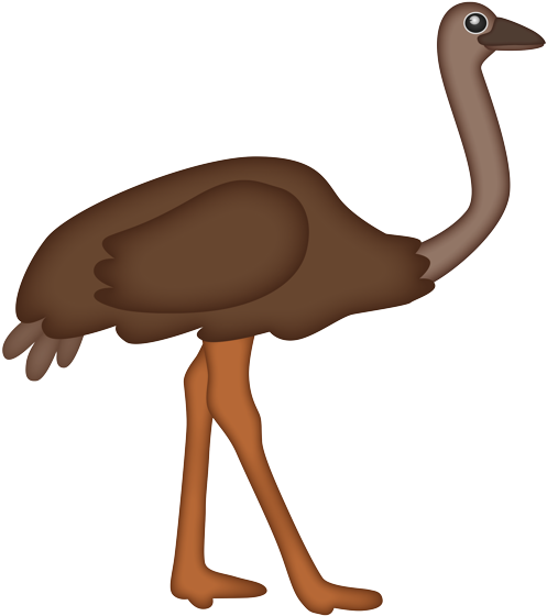 Cartoon Ostrich Illustration PNG