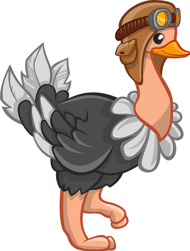 Cartoon Ostrich Pilot Illustration PNG