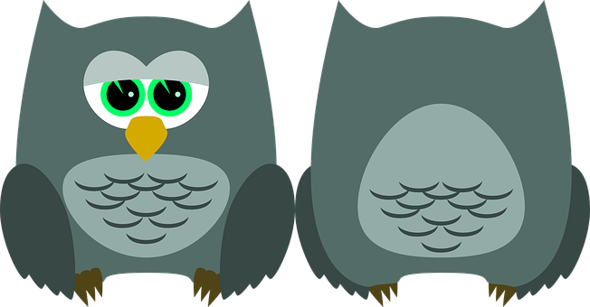 Cartoon Owl Before After Illustration PNG