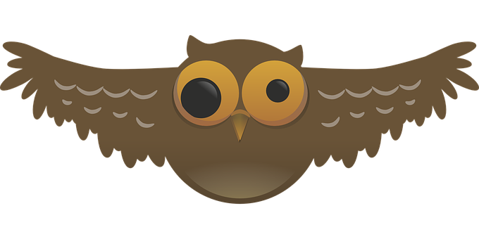 Cartoon Owl Graphic PNG