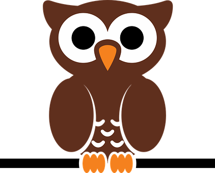 Cartoon Owl Illustration PNG