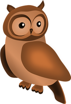 Cartoon Owl Illustration PNG