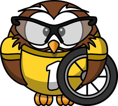 Cartoon Owl Racer Number One PNG