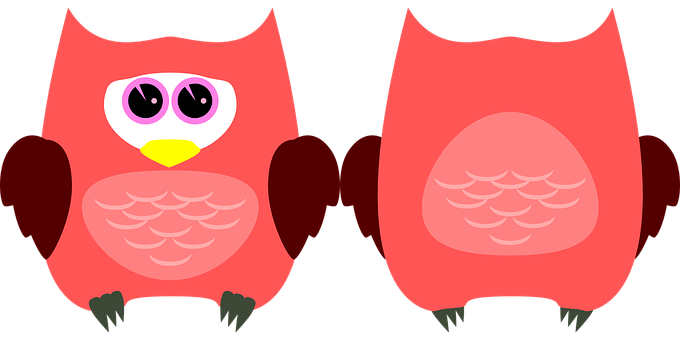 Cartoon Owl Twin Image PNG