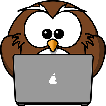 Cartoon Owl Using Laptop PNG