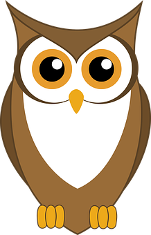 Cartoon_ Owl_ Vector_ Illustration PNG