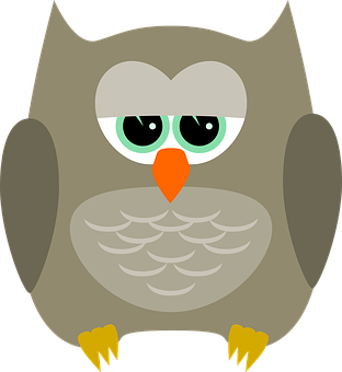 Cartoon_ Owl_ Vector_ Illustration PNG