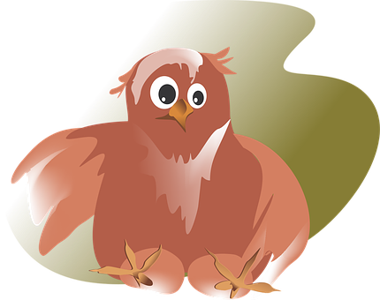 Cartoon Owl Vector Illustration PNG