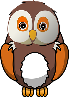 Cartoon_ Owl_ Vector_ Illustration PNG