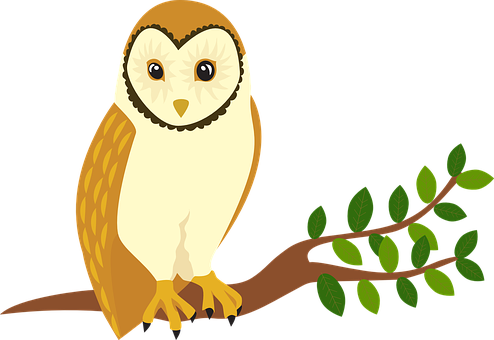 Cartoon Owlon Branch PNG