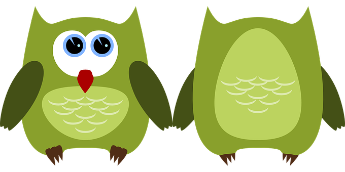 Cartoon Owls Sideby Side PNG