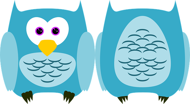 Cartoon Owls Twin Design PNG