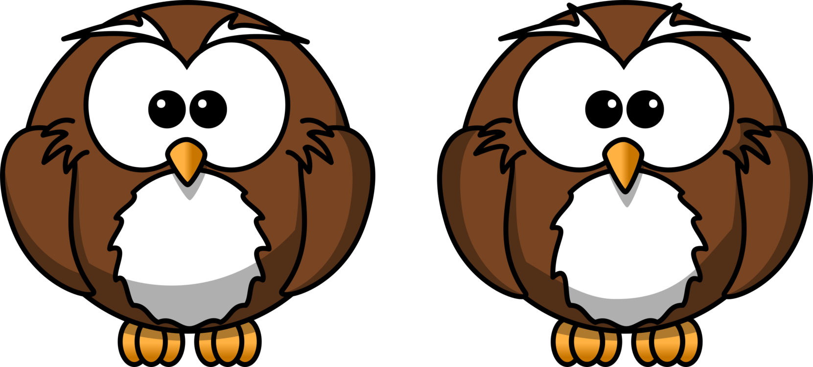 Cartoon Owls Twin Expression PNG