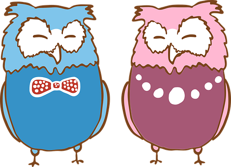 Cartoon Owlsin Bowties PNG