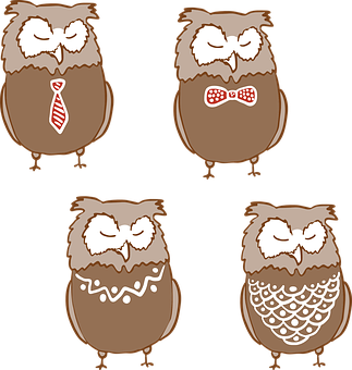 Cartoon Owlsin Different Styles PNG