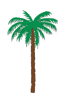 Cartoon Palm Tree Illustration PNG