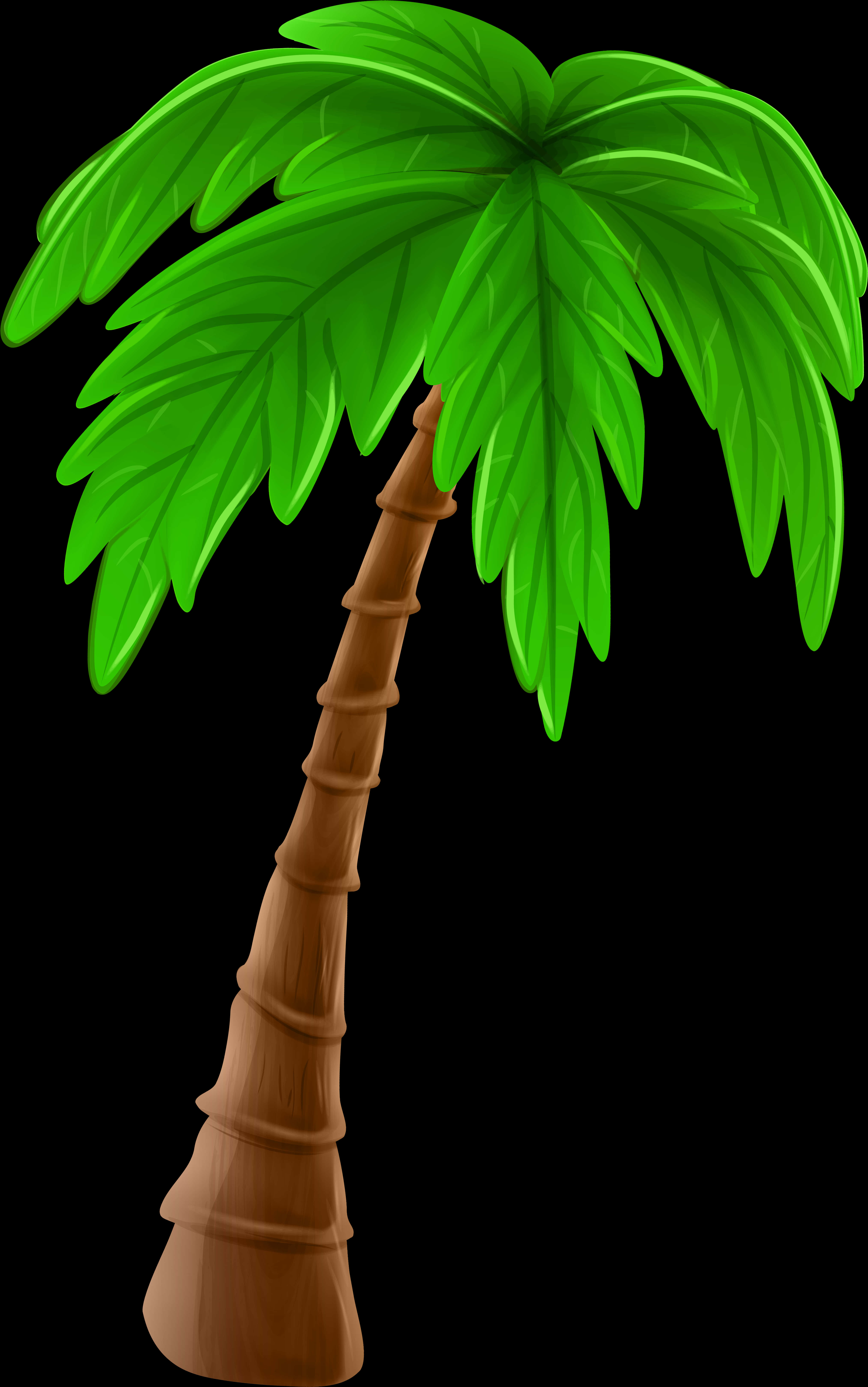 Cartoon Palm Treeon Black Background PNG