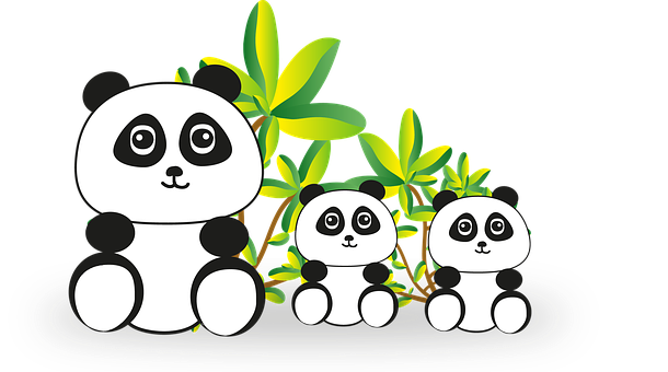 Cartoon Panda Family Bamboo Background PNG