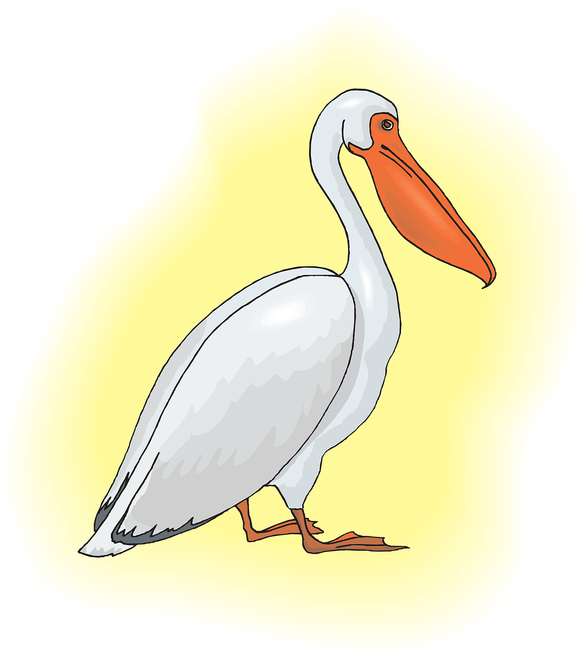 Cartoon Pelican Illustration PNG