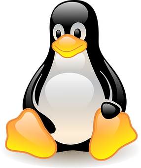 Cartoon Penguin Graphic PNG