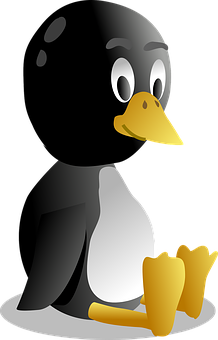 Cartoon Penguin Graphic PNG