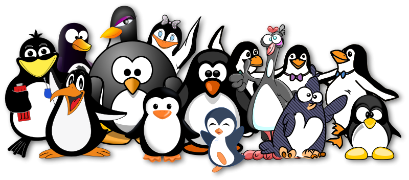 Cartoon Penguin Party PNG