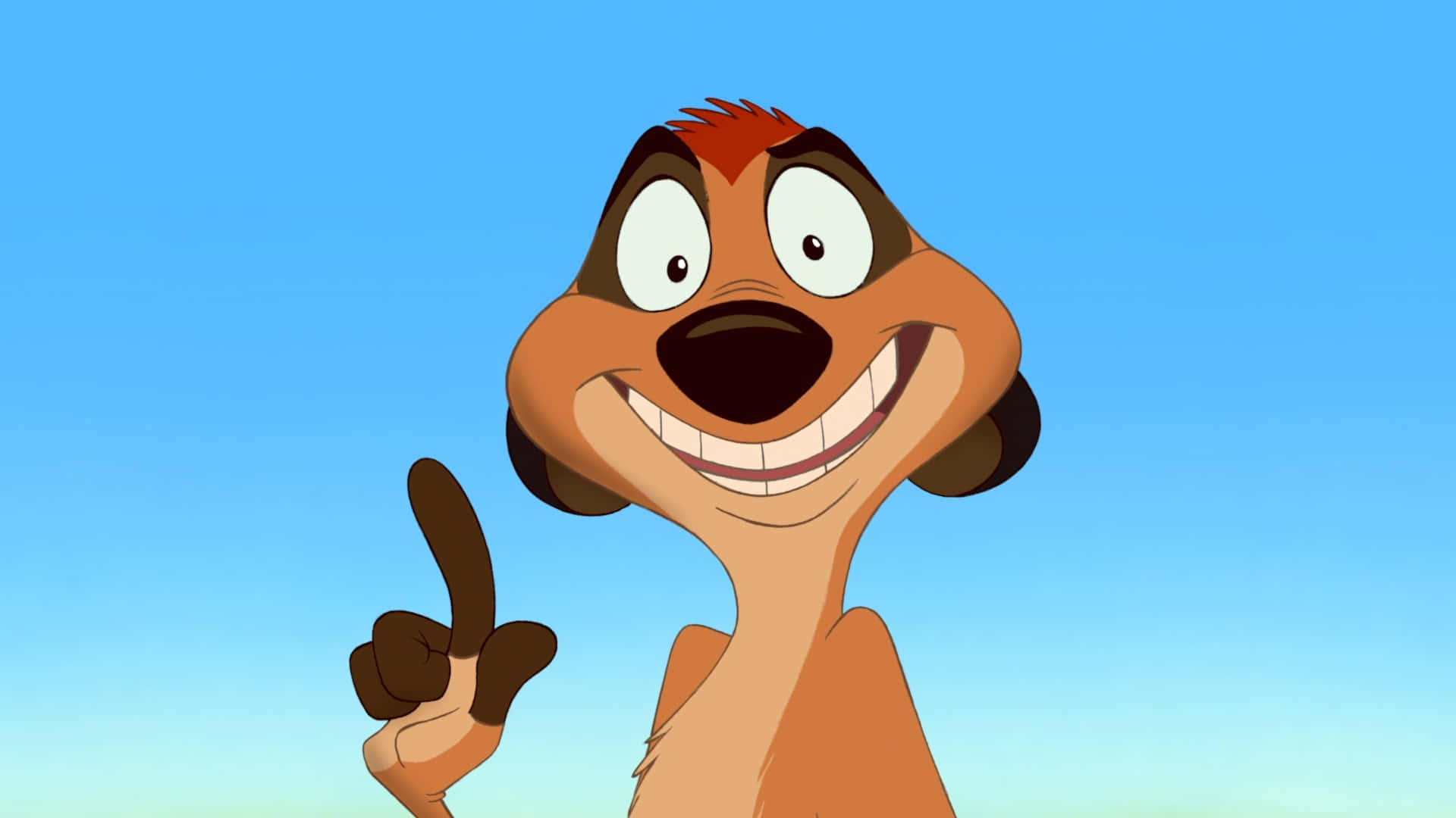 Cartoon The Lion King Timon Picture