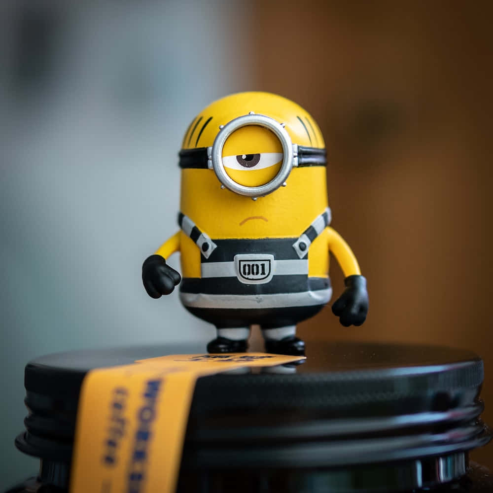 Cartoon Minion Toy Picture