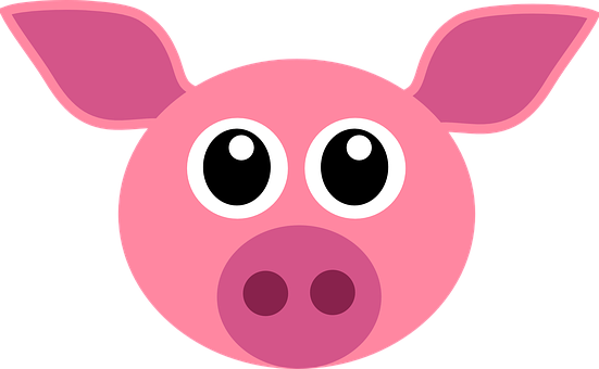 Cartoon Pig Face Graphic PNG