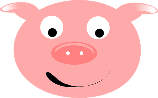 Cartoon Pig Face Graphic PNG