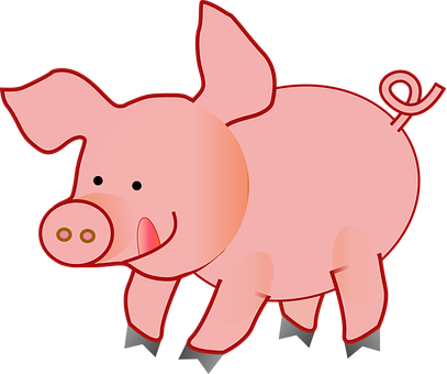 Cartoon Pig Illustration PNG