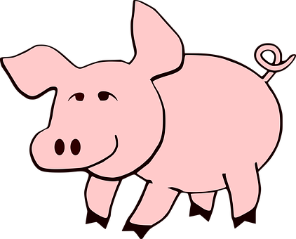 Cartoon Pig Illustration PNG