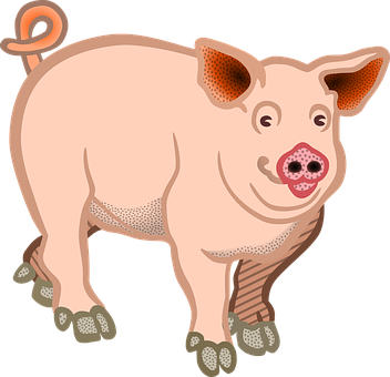 Cartoon Pig Illustration PNG