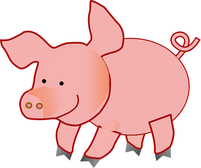 Cartoon Pig Illustration PNG