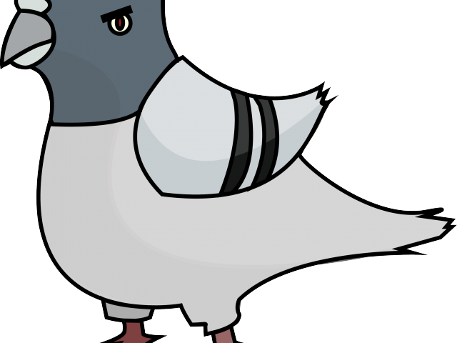 Cartoon Pigeon Illustration PNG