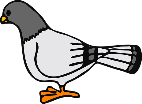 Cartoon Pigeon Illustration PNG
