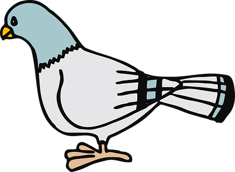 Cartoon Pigeon Illustration PNG