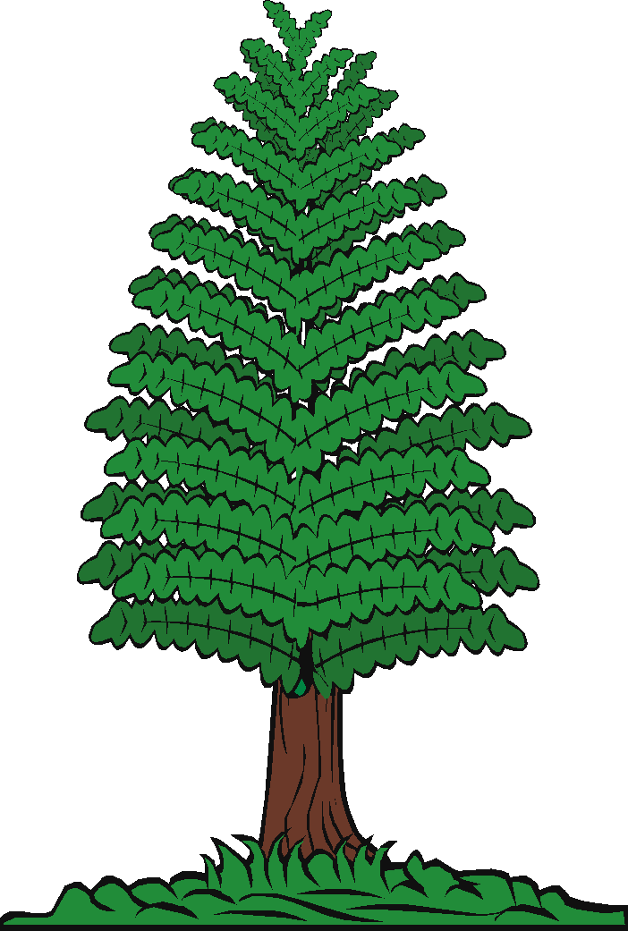 Cartoon Pine Tree Illustration PNG