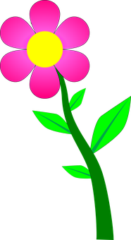 Cartoon Pink Flower Black Background PNG