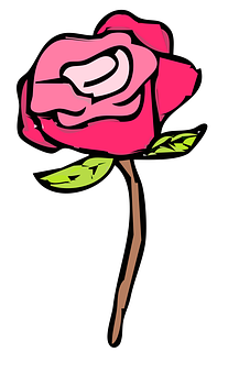 Cartoon Pink Rose Illustration PNG