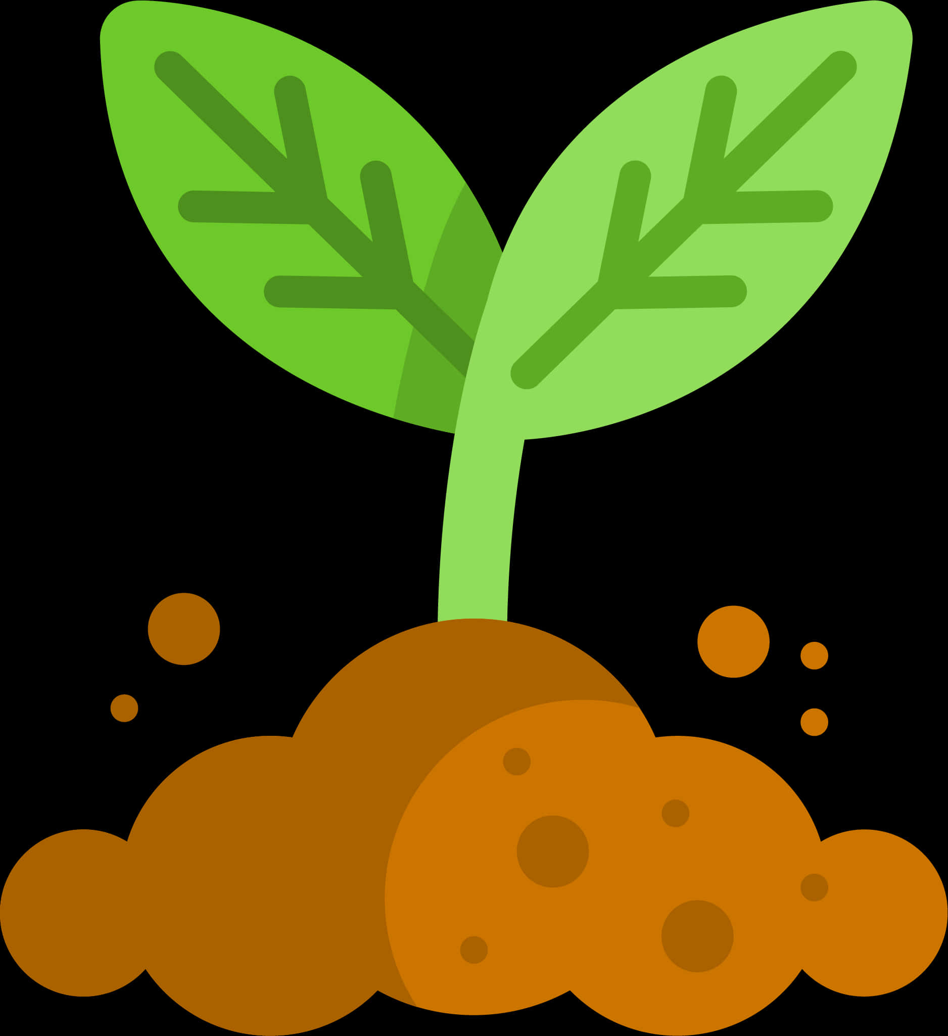 Cartoon Plant Growing From Soil PNG