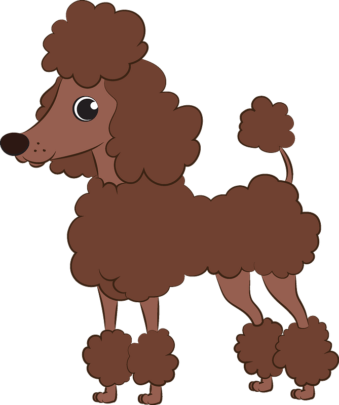 Cartoon Poodle Standing Side View SVG