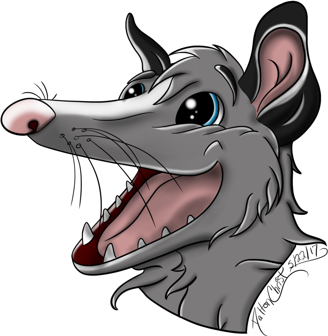 Cartoon Possum Portrait PNG