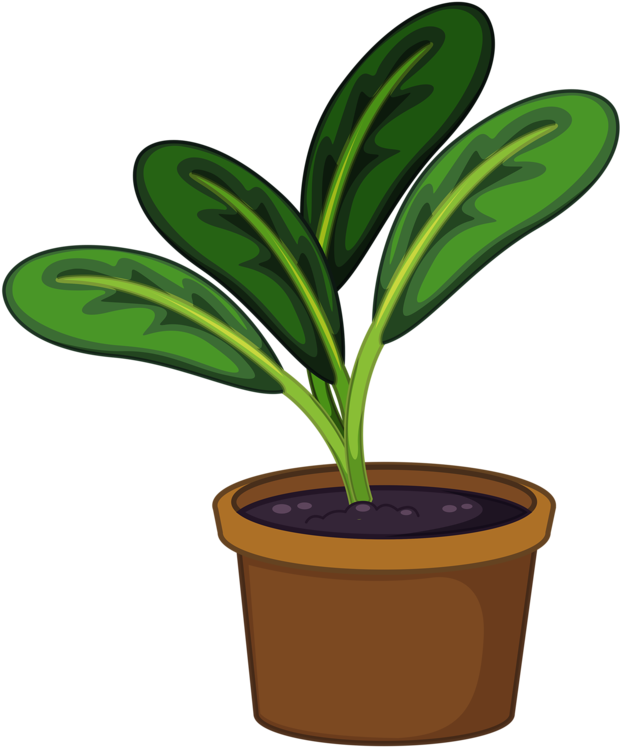 Cartoon Potted Plant Illustration PNG