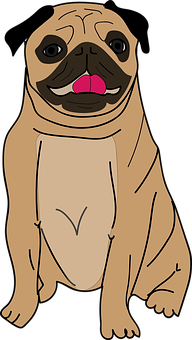 Cartoon Pug Dog Illustration PNG