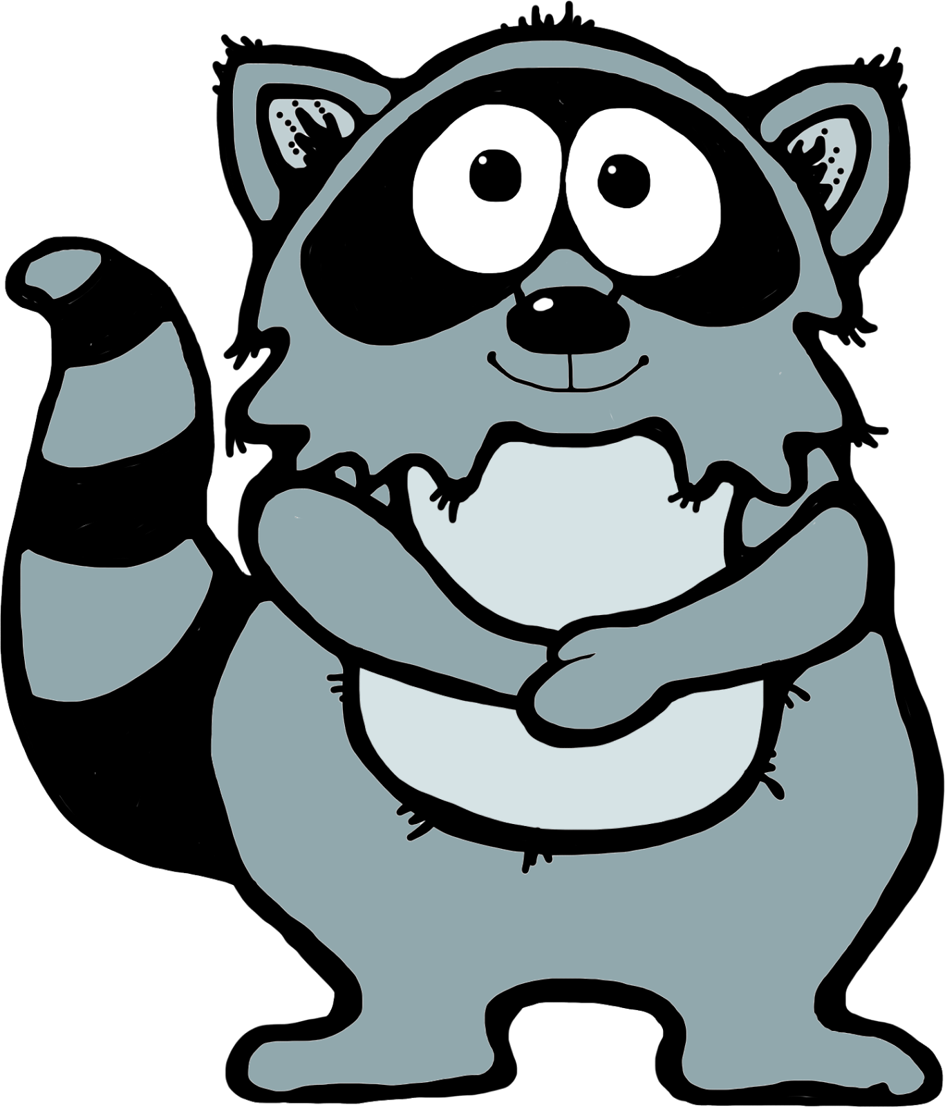 Cartoon Raccoon Illustration PNG