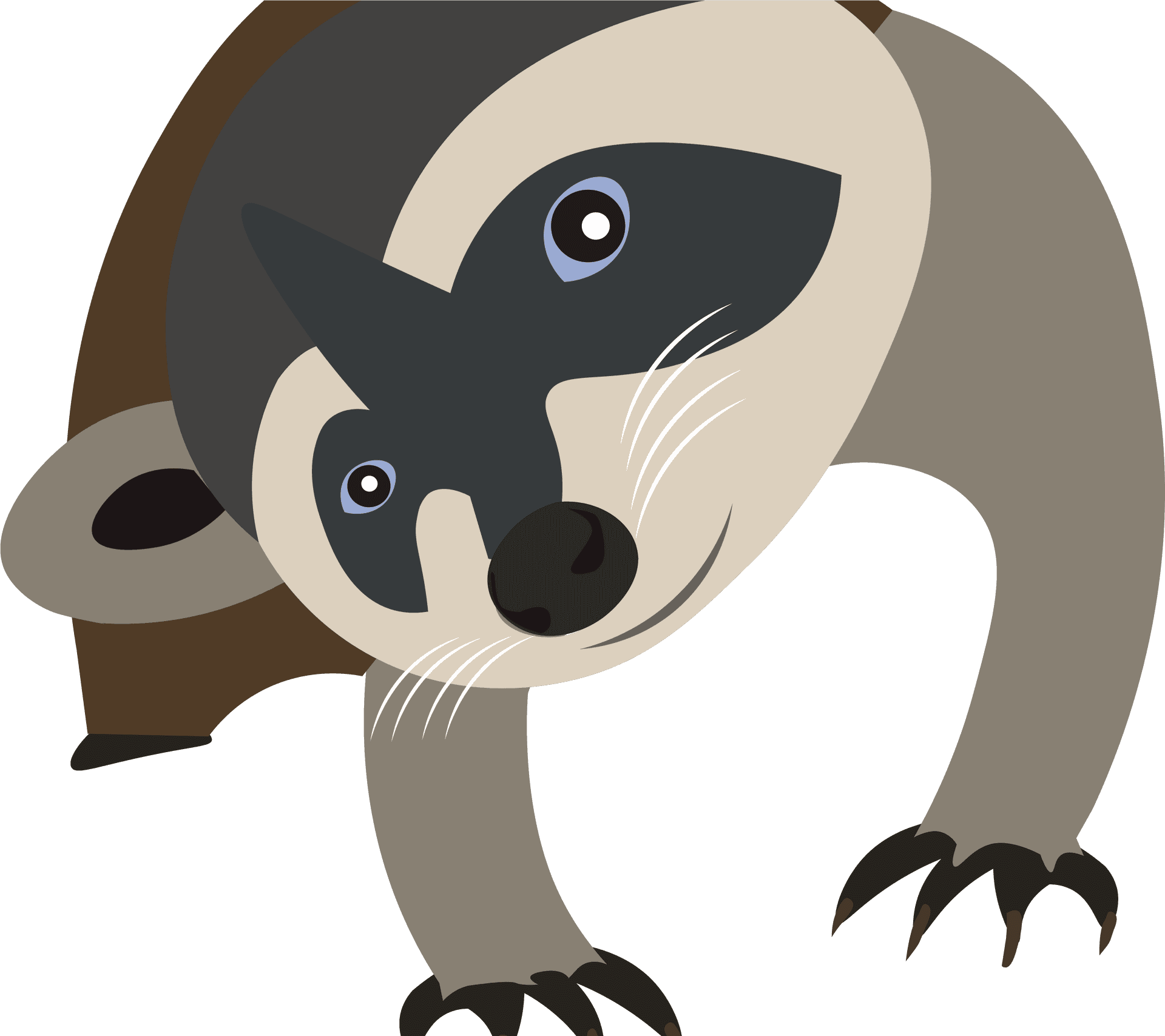 Cartoon Raccoon Illustration PNG