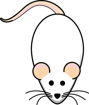 Cartoon Rat Head Graphic PNG