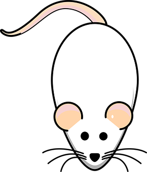 Cartoon Rat Head Vector PNG